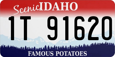ID license plate 1T9162O