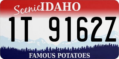 ID license plate 1T9162Z