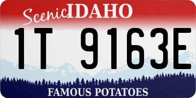 ID license plate 1T9163E