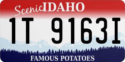 ID license plate 1T9163I