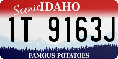 ID license plate 1T9163J