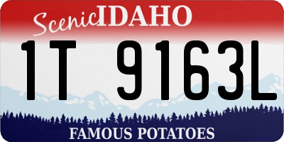 ID license plate 1T9163L