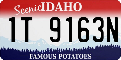 ID license plate 1T9163N