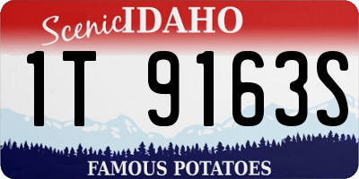 ID license plate 1T9163S