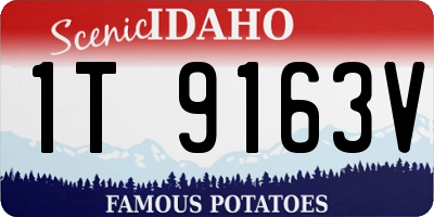 ID license plate 1T9163V