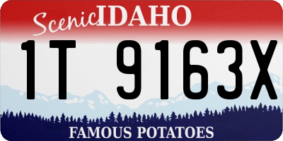 ID license plate 1T9163X