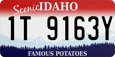 ID license plate 1T9163Y