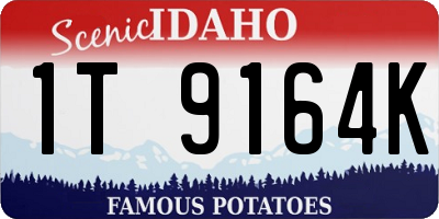 ID license plate 1T9164K