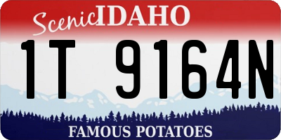 ID license plate 1T9164N