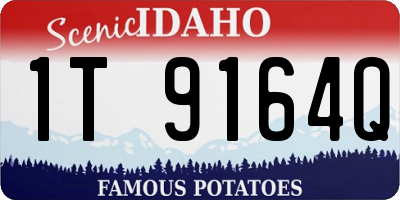 ID license plate 1T9164Q