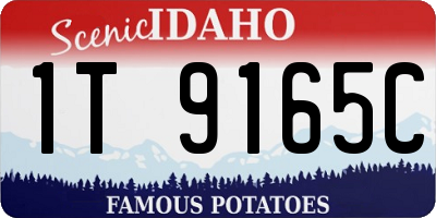 ID license plate 1T9165C