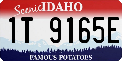 ID license plate 1T9165E