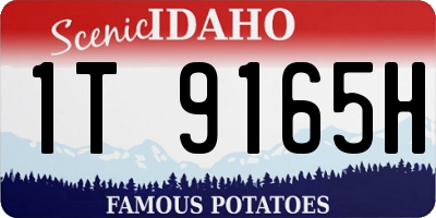 ID license plate 1T9165H