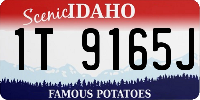 ID license plate 1T9165J