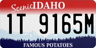 ID license plate 1T9165M