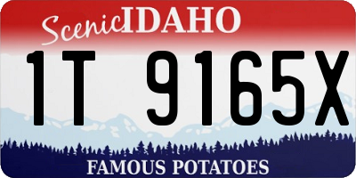 ID license plate 1T9165X