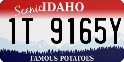 ID license plate 1T9165Y