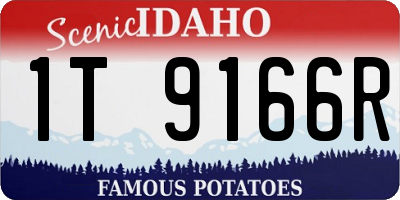 ID license plate 1T9166R