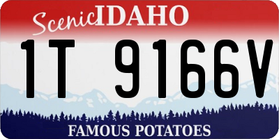ID license plate 1T9166V