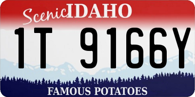 ID license plate 1T9166Y