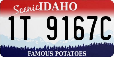 ID license plate 1T9167C