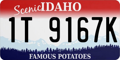 ID license plate 1T9167K