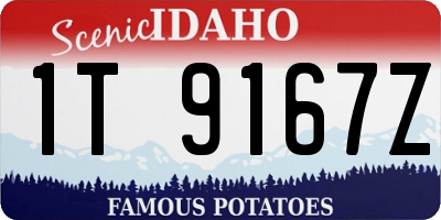 ID license plate 1T9167Z
