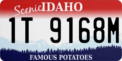 ID license plate 1T9168M