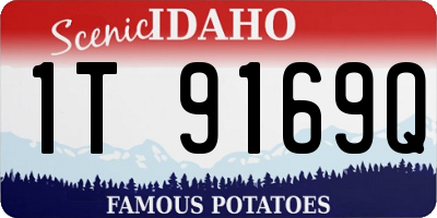 ID license plate 1T9169Q