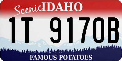 ID license plate 1T9170B