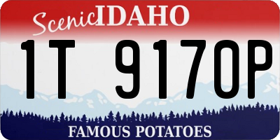 ID license plate 1T9170P