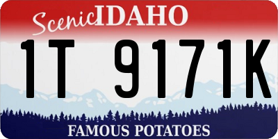 ID license plate 1T9171K
