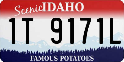 ID license plate 1T9171L