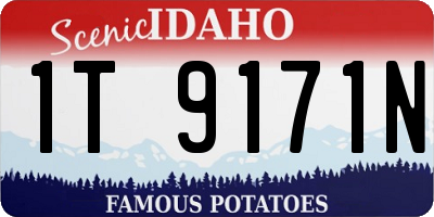 ID license plate 1T9171N