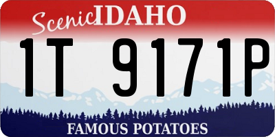 ID license plate 1T9171P