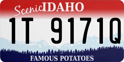 ID license plate 1T9171Q