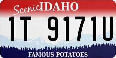 ID license plate 1T9171U
