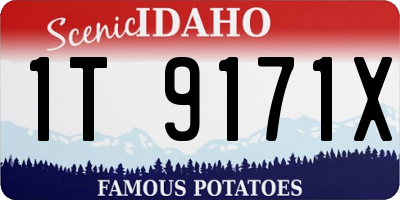 ID license plate 1T9171X