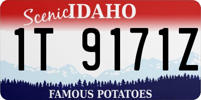 ID license plate 1T9171Z