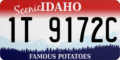 ID license plate 1T9172C