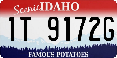 ID license plate 1T9172G