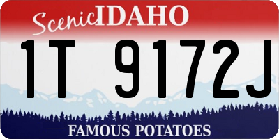 ID license plate 1T9172J