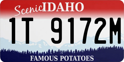 ID license plate 1T9172M
