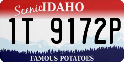 ID license plate 1T9172P