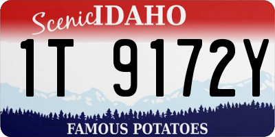 ID license plate 1T9172Y