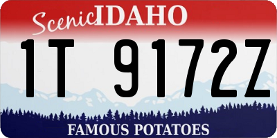ID license plate 1T9172Z