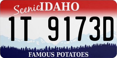 ID license plate 1T9173D