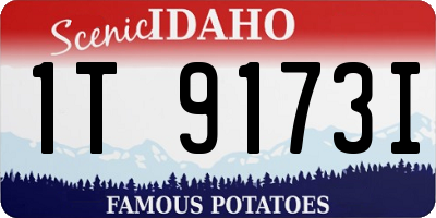 ID license plate 1T9173I
