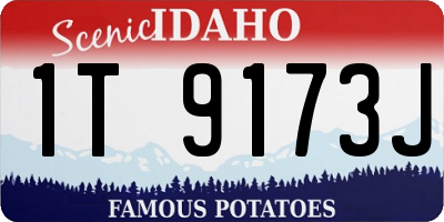 ID license plate 1T9173J