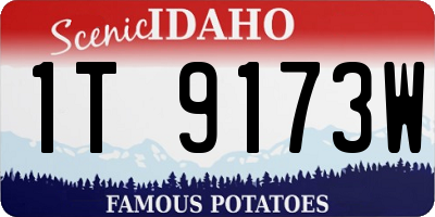 ID license plate 1T9173W